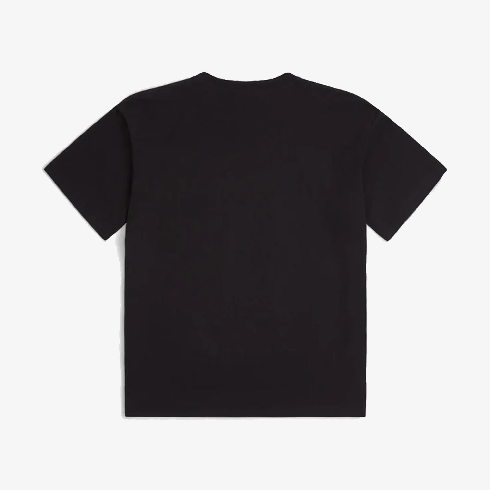 New Arrivals (Summer Edition)